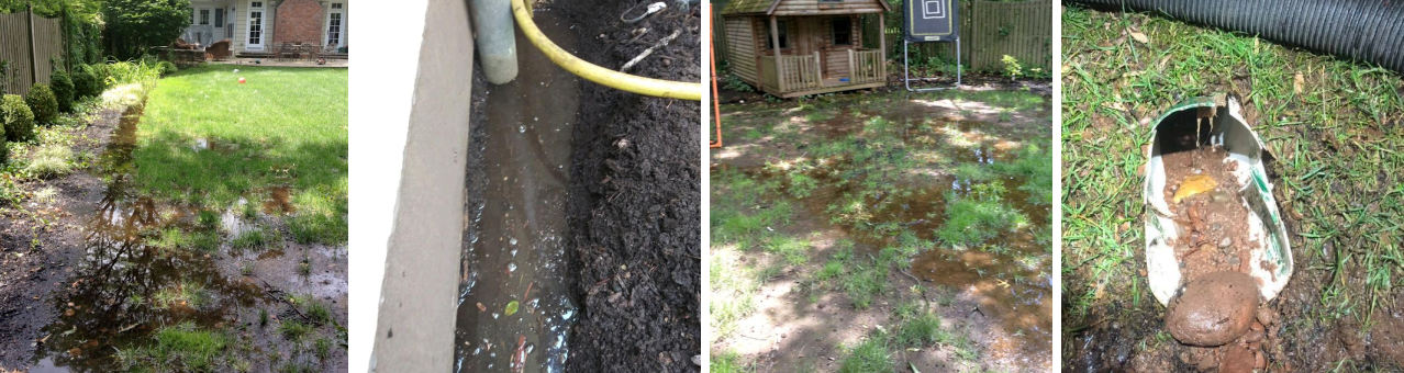 5 Reasons You Should Not Let Your Landscaper Handle Your Yard